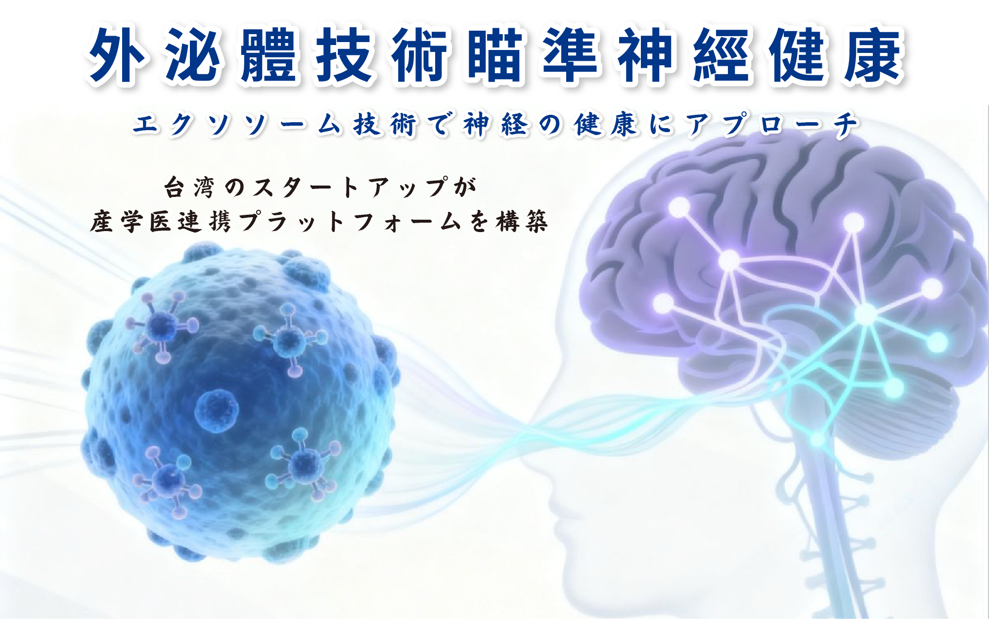 外泌體技術瞄準神經健康　台灣新創打造產學臨床整合平台